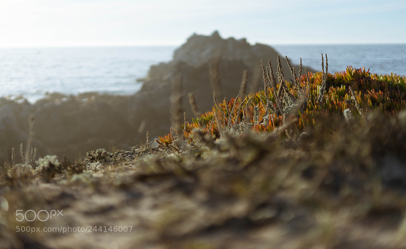Sony a7 II sample photo. Whispy swirl photography