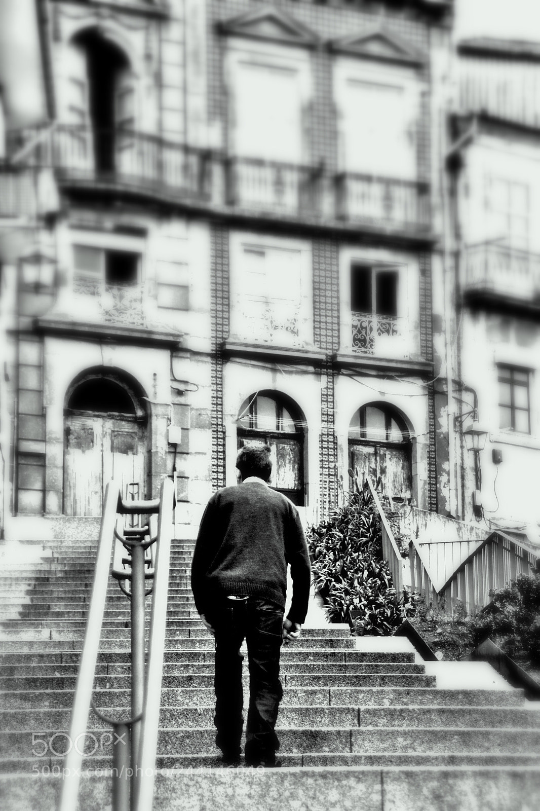 Nikon D3100 sample photo. Going up photography