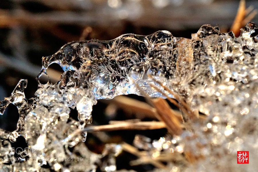 Sony a6500 sample photo. Ice 0127 photography