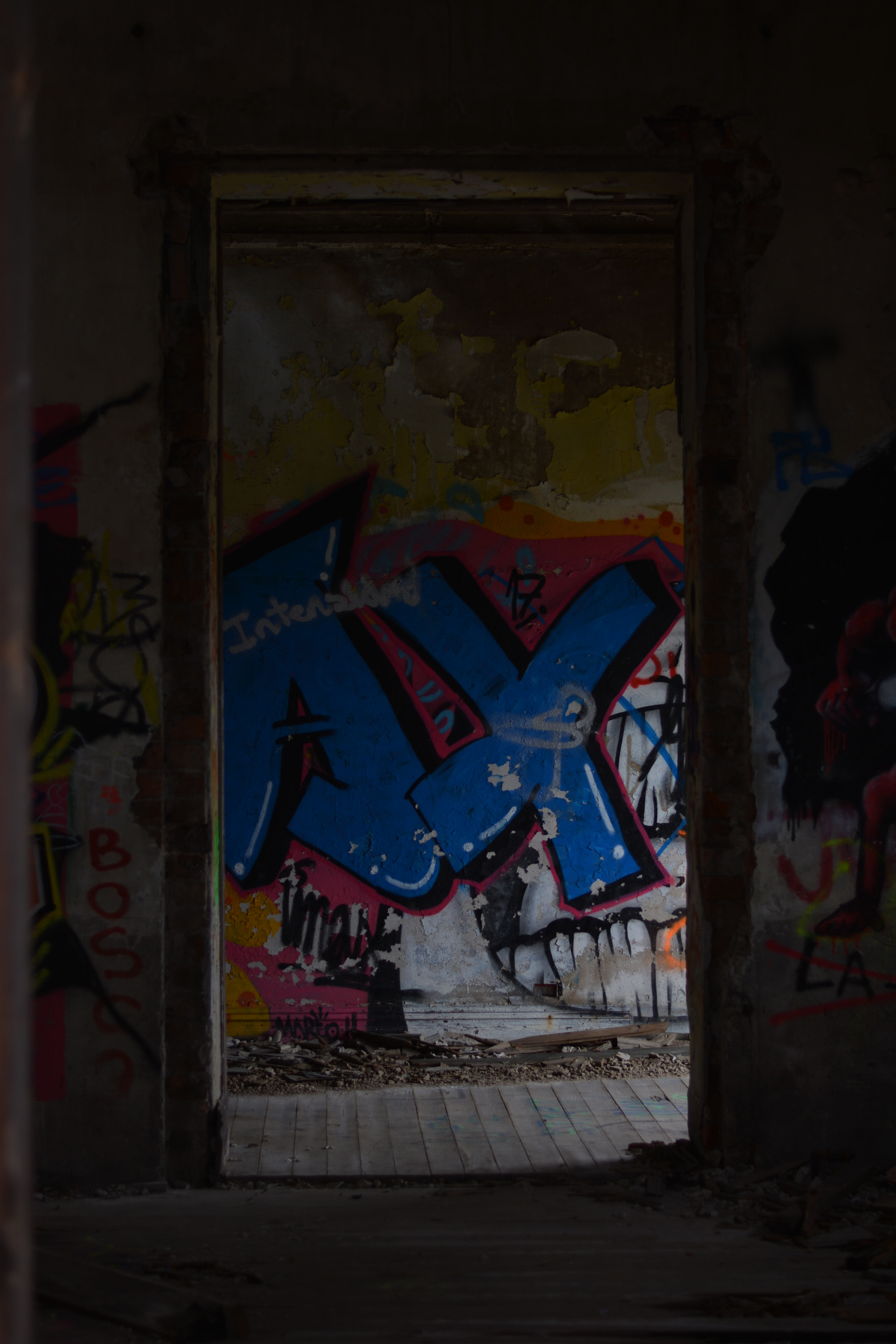 Nikon D5200 + Nikon AF-S Nikkor 50mm F1.8G sample photo. Through the door photography