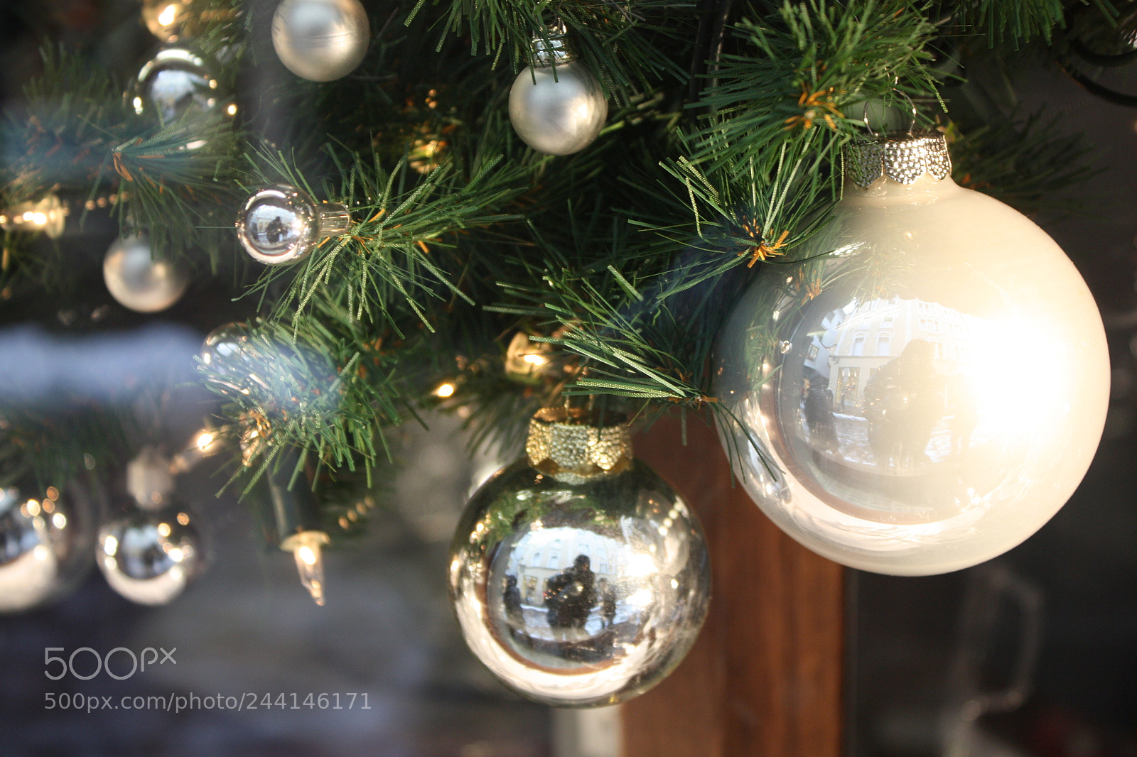 Canon EF-S 18-55mm F3.5-5.6 IS sample photo. Dangling joy photography