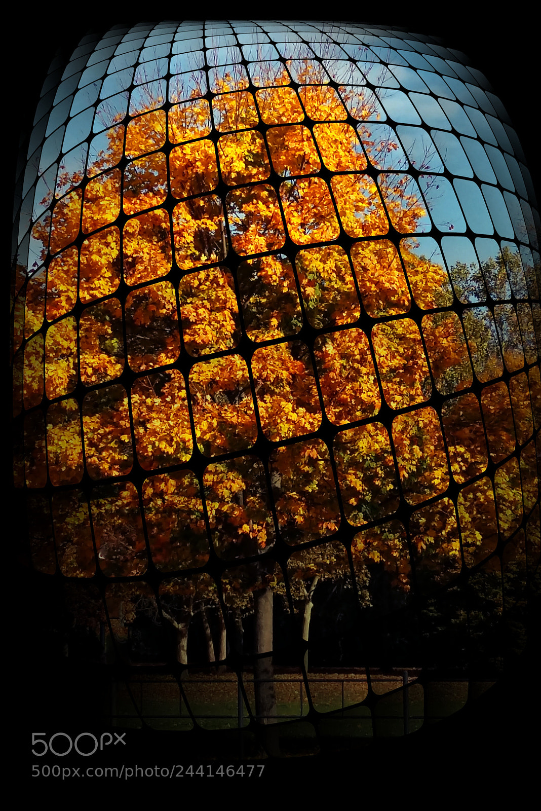 Samsung Galaxy A5 sample photo. Bubble photography