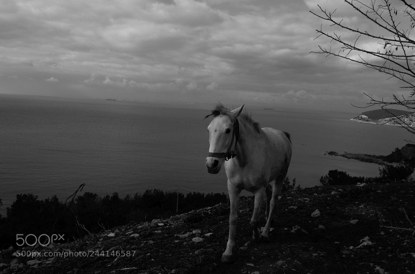 Nikon D5100 sample photo. Untitled photography