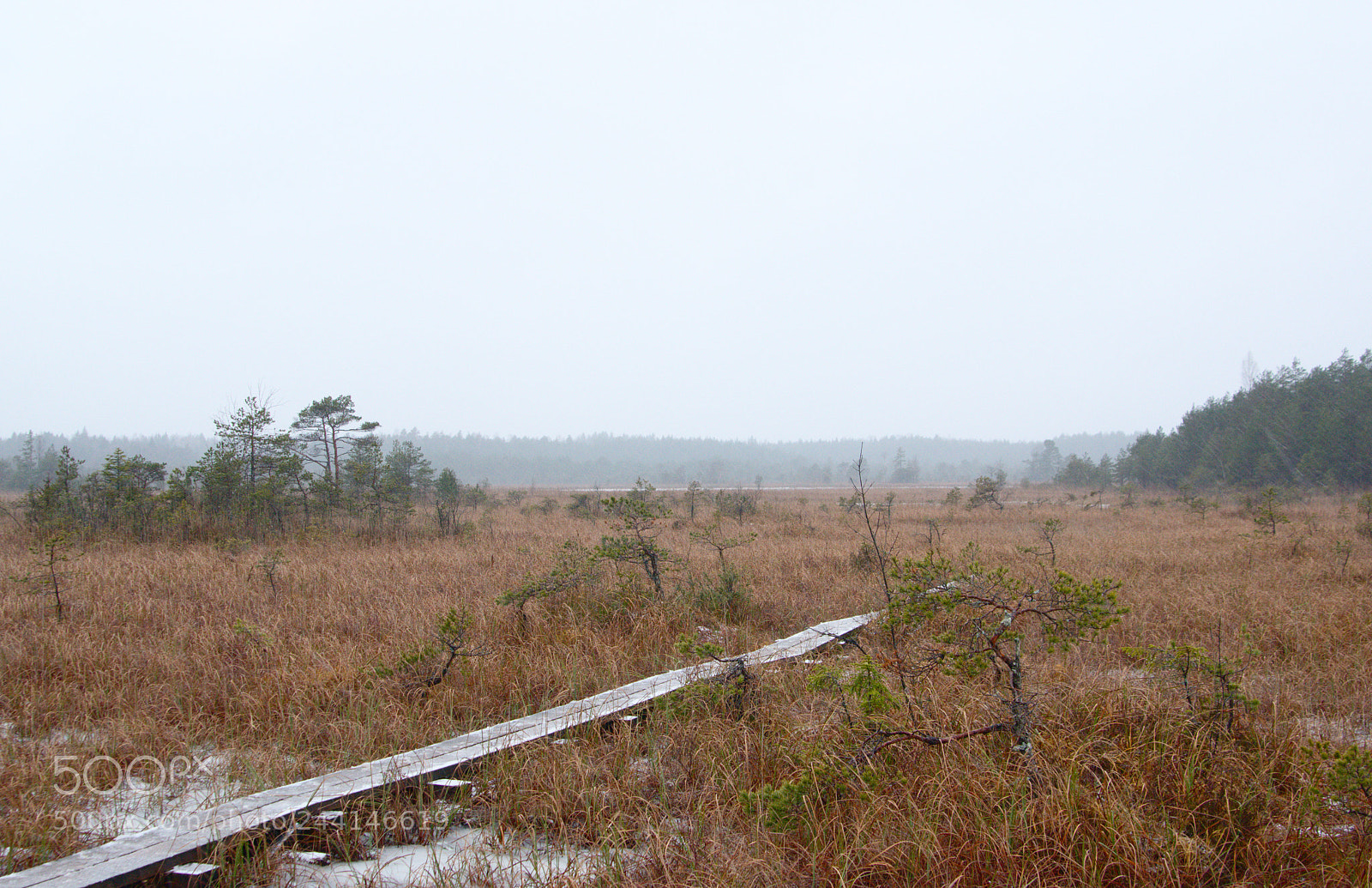 Pentax K-3 sample photo. Sunday nature walk photography