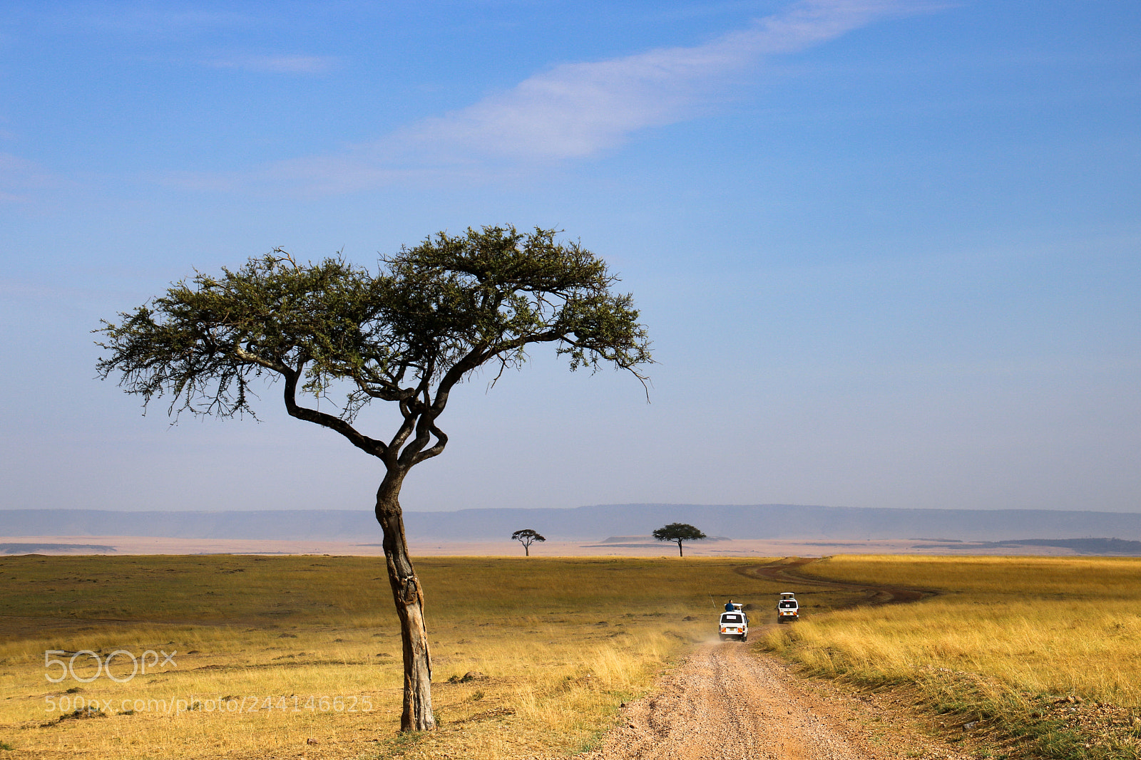 Canon EOS 760D (EOS Rebel T6s / EOS 8000D) sample photo. Out of africa photography