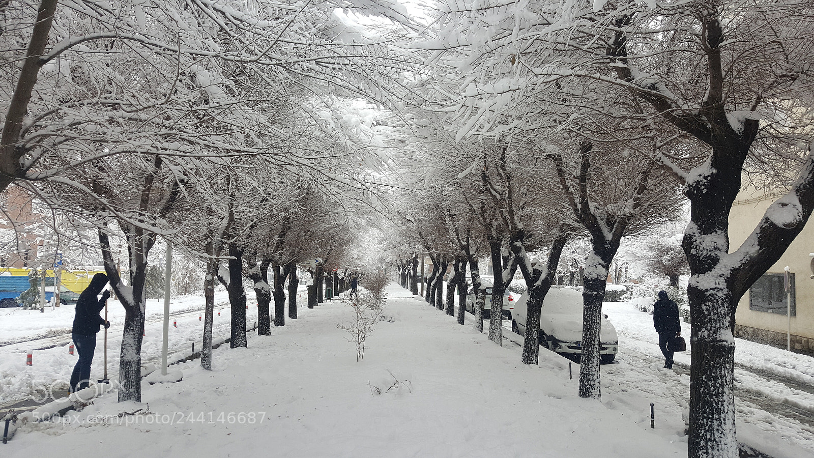 Samsung Galaxy Note5 sample photo. Snow photography