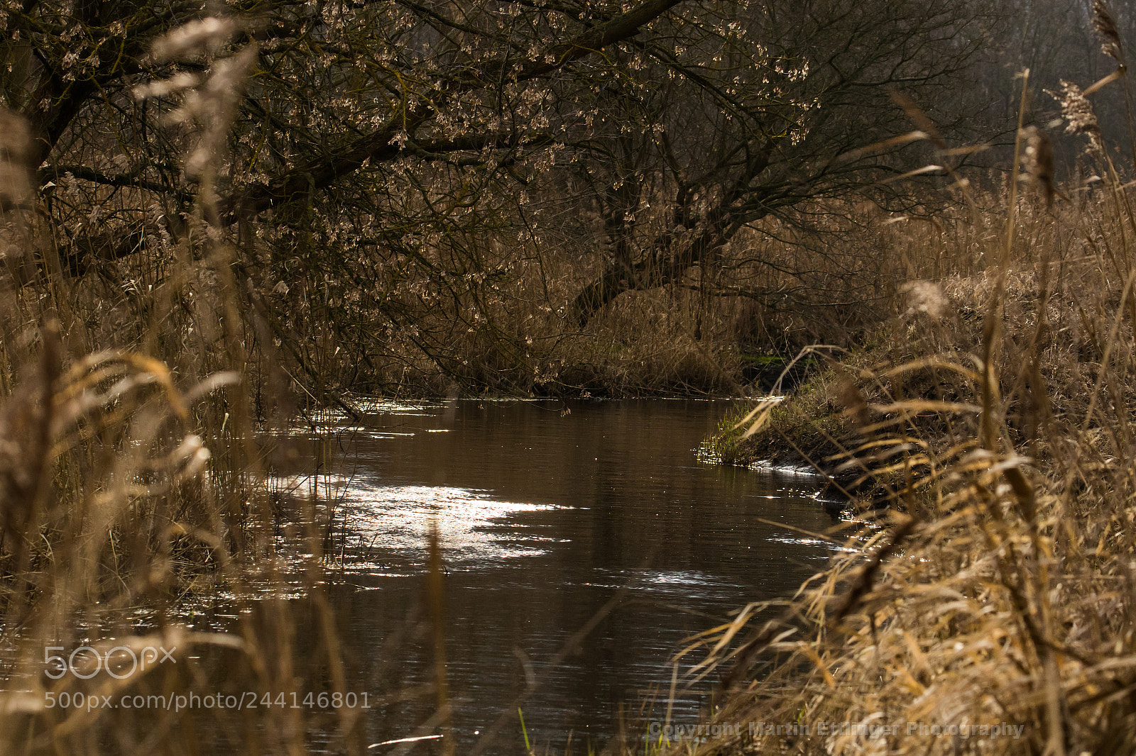 Canon EOS 7D Mark II sample photo. Landscape natural reserve niedermoorwiesen photography