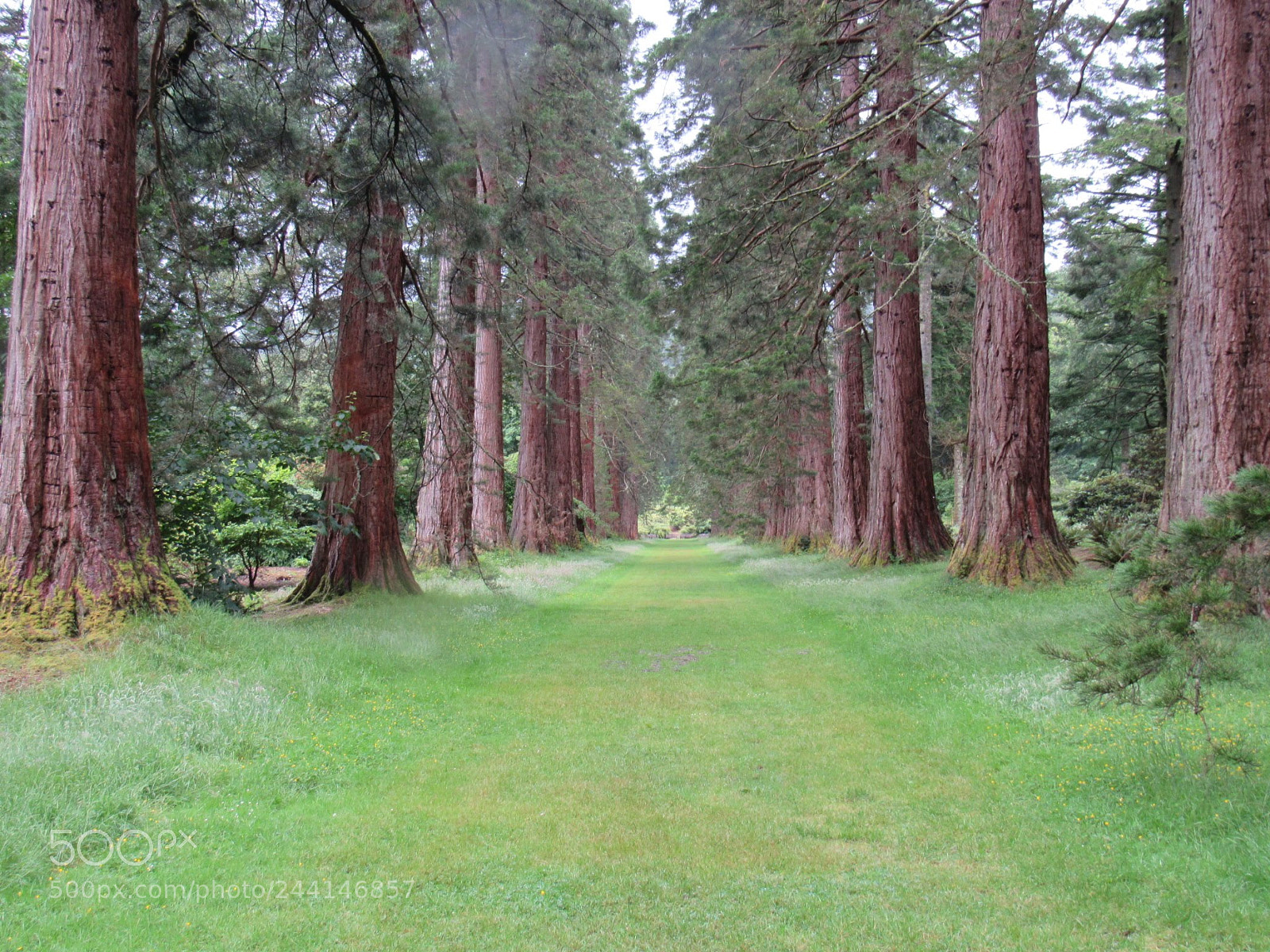 Canon PowerShot SX530 HS sample photo. 26480400_unknown.jpg photography