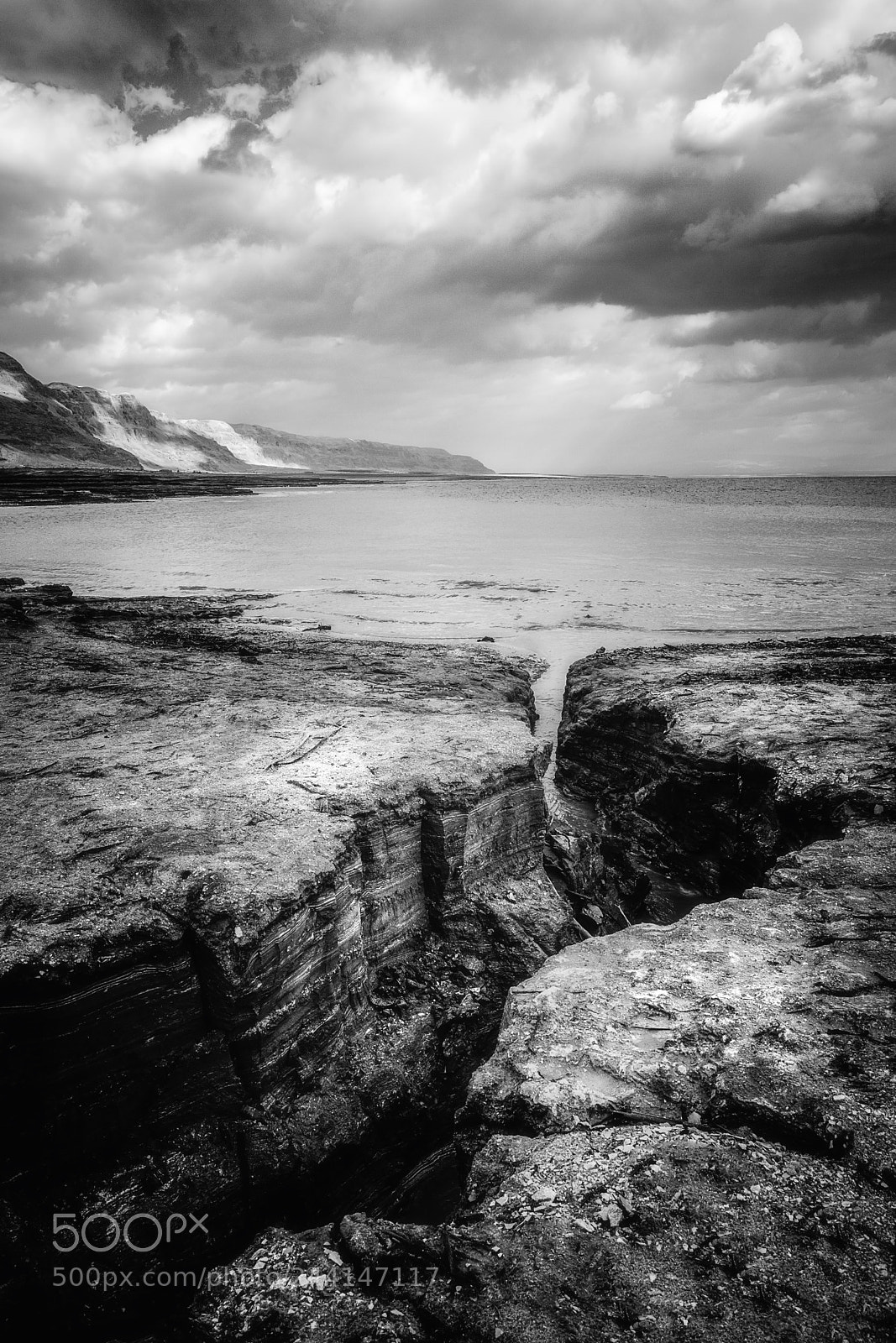 Fujifilm X-T2 sample photo. The dying dead sea photography