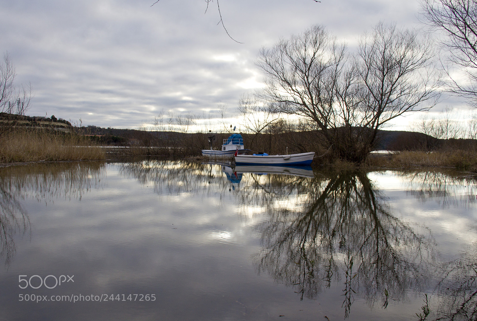 Canon EOS 60D sample photo. Lake photography