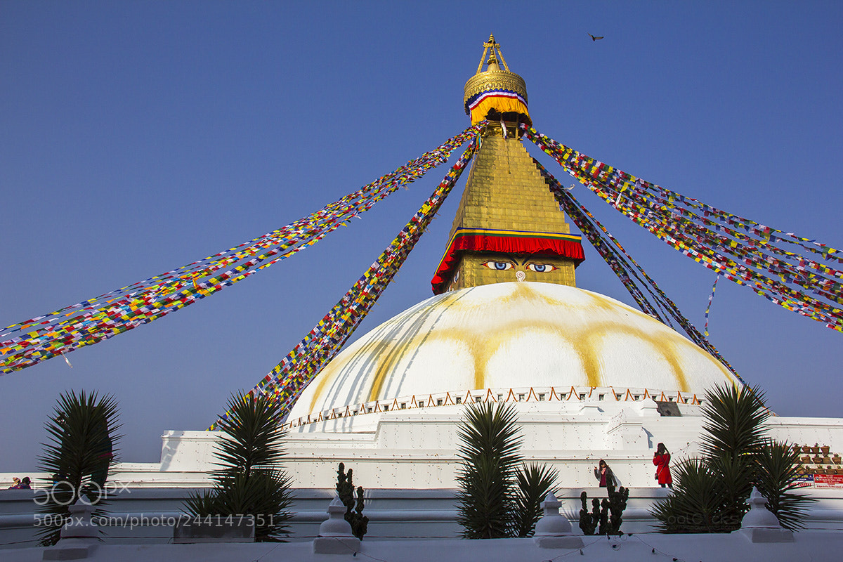 Canon EOS 60D sample photo. Boudhanath photography
