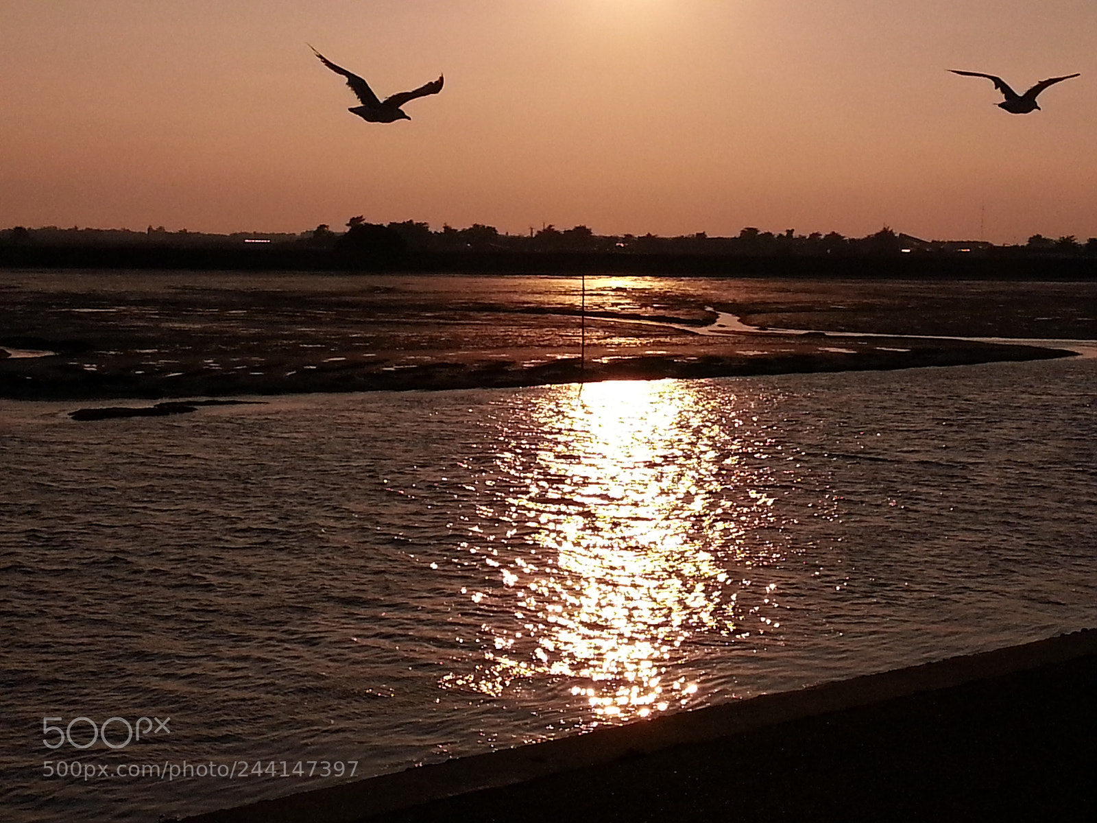 Samsung Galaxy Note2 sample photo. Untitled photography
