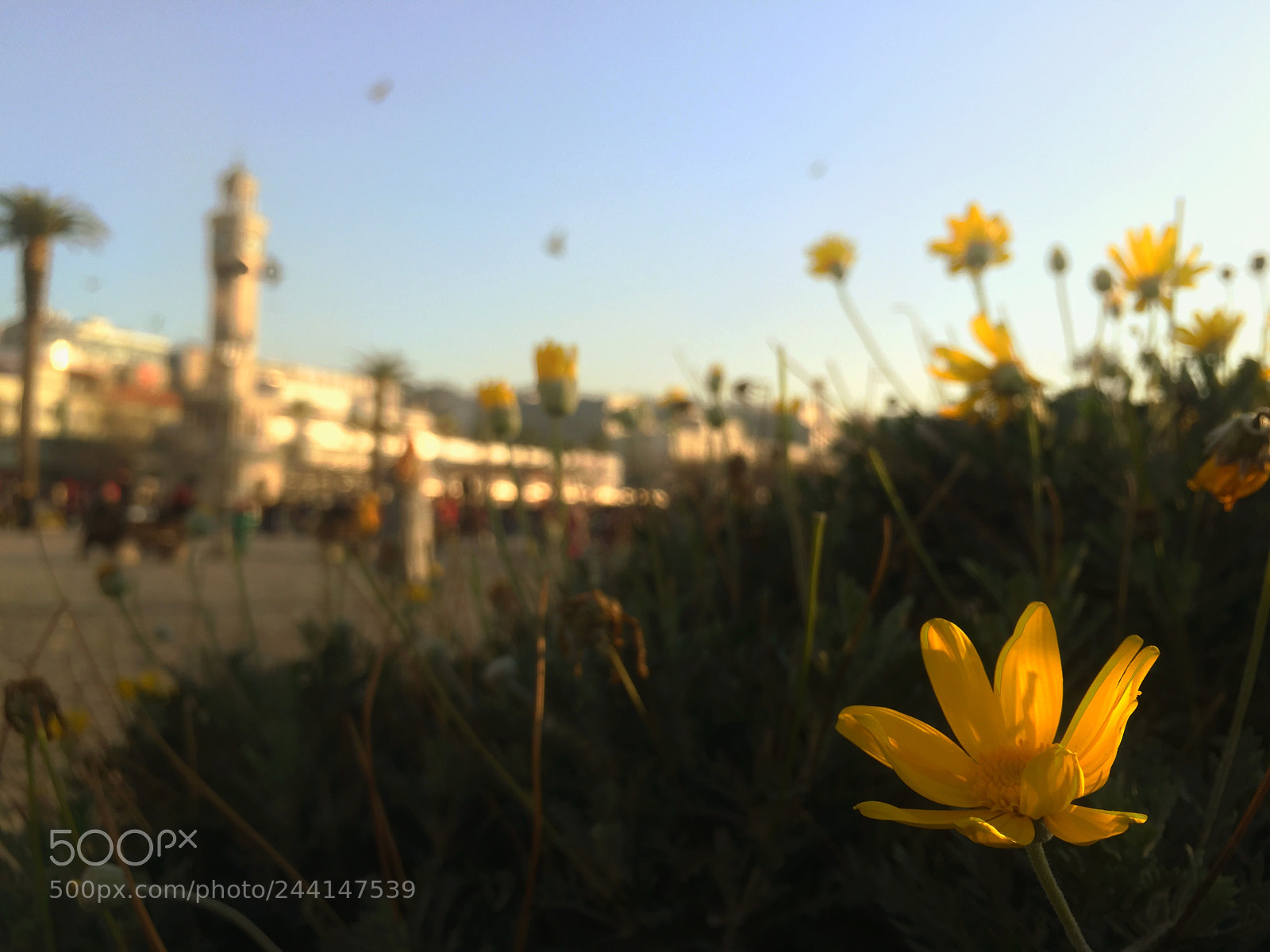 Apple iPhone 6 sample photo. Clock tower photography