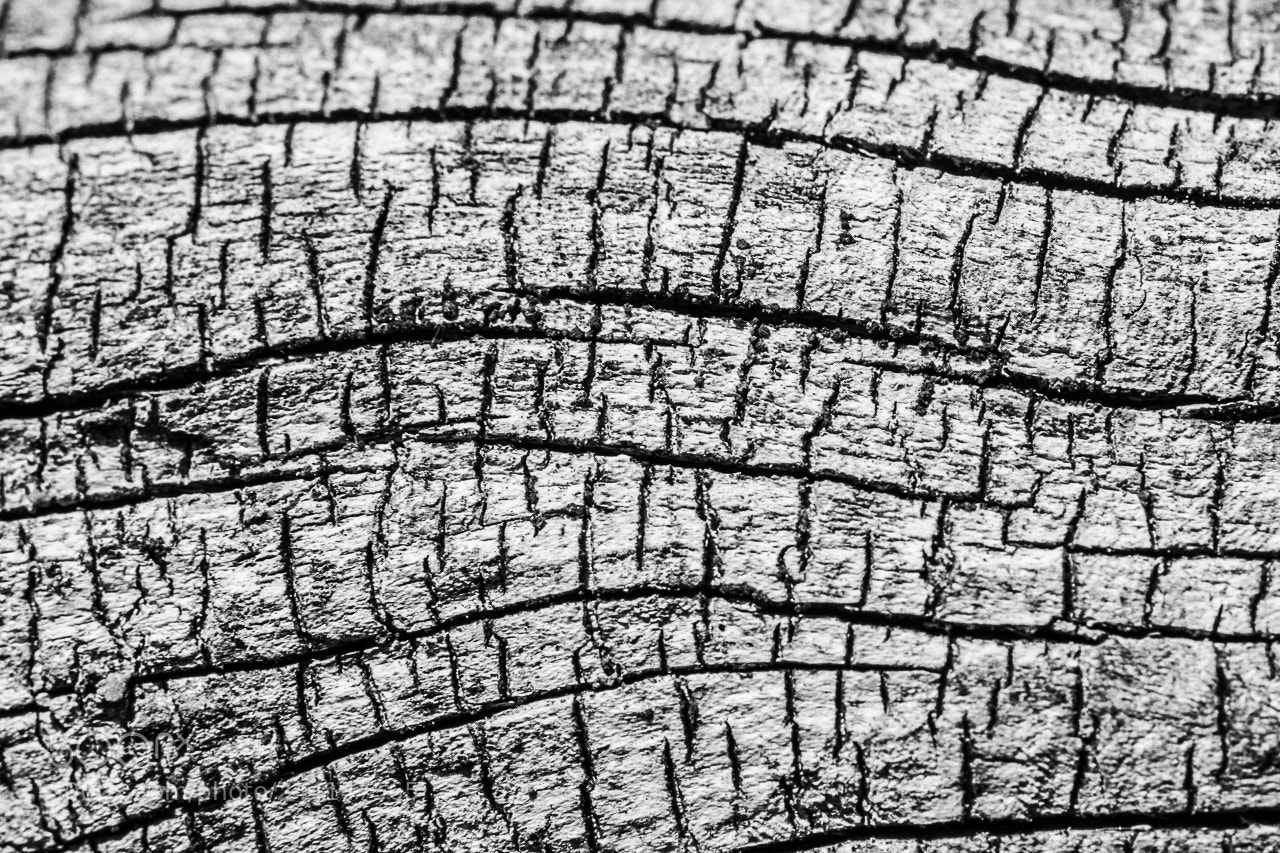 Nikon D7200 sample photo. Lines photography