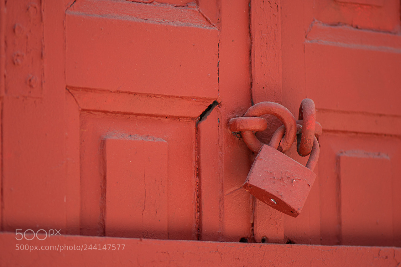 Nikon D7200 sample photo. Red in red photography
