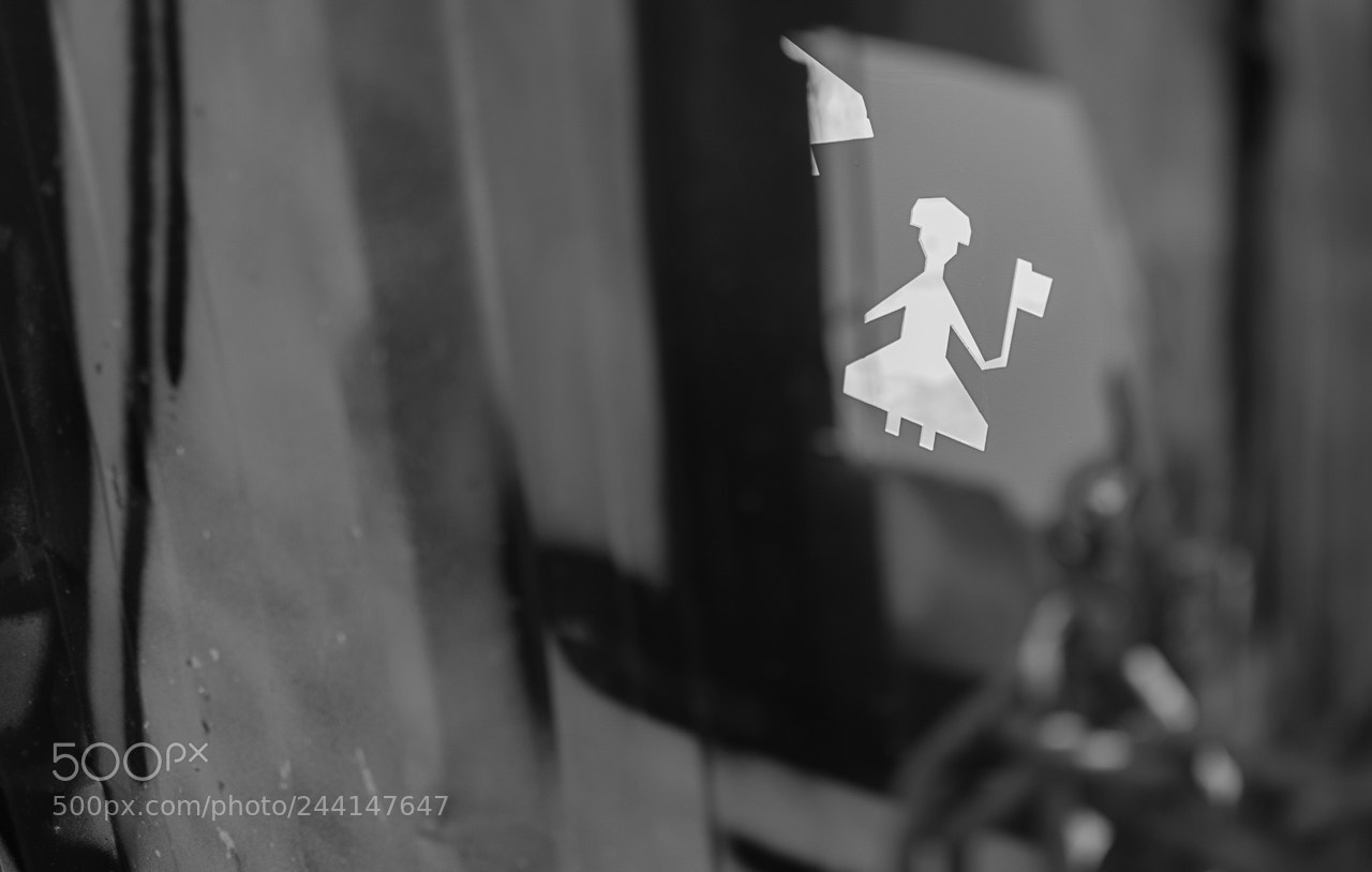 Nikon D7200 sample photo. A peek through the photography