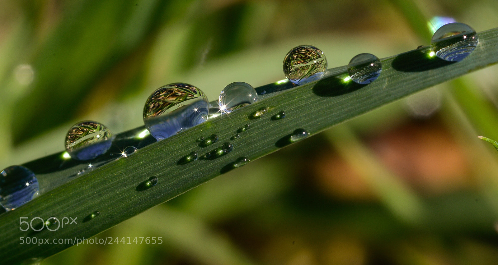 Nikon D610 sample photo. Untitled photography