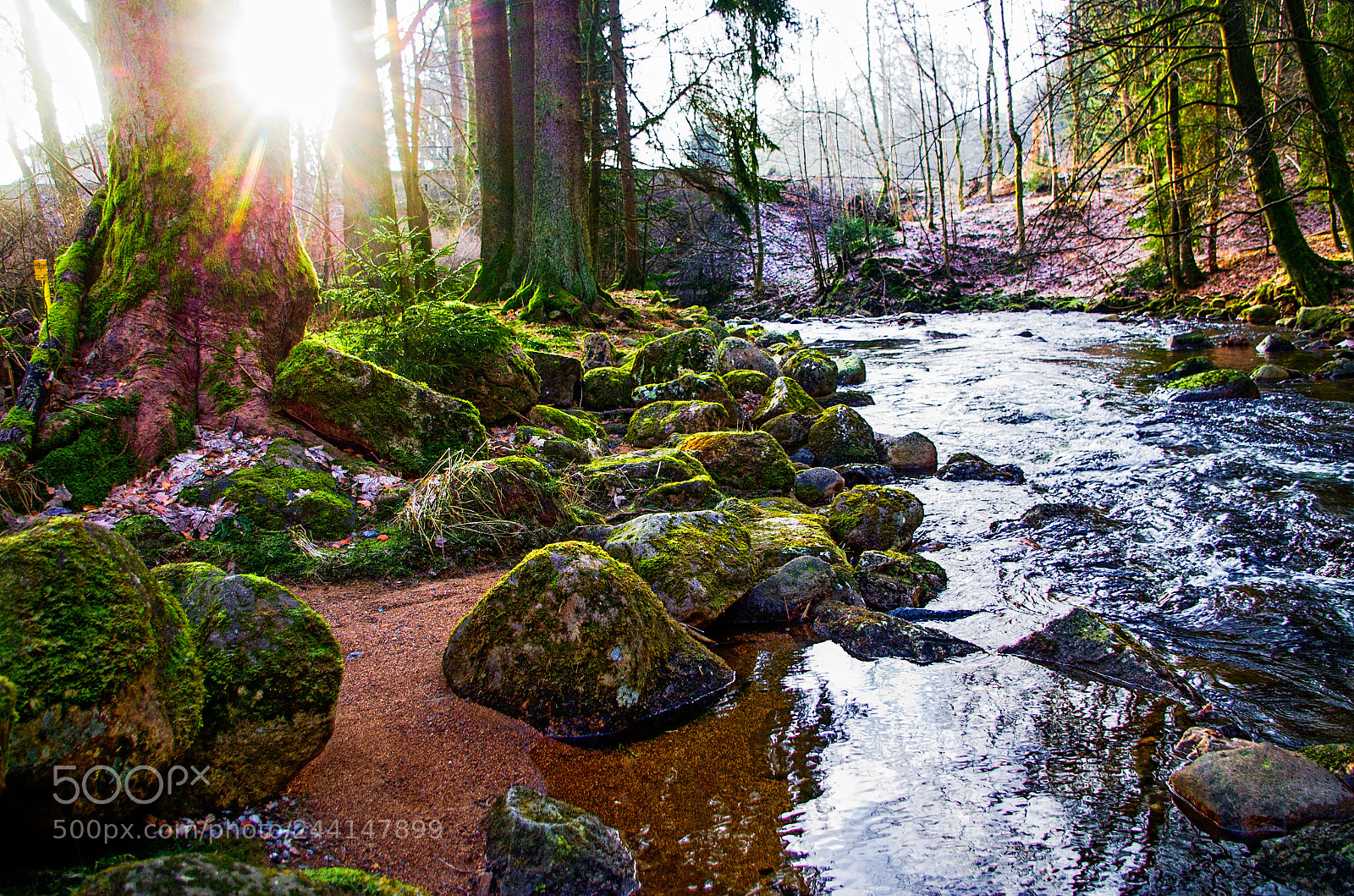 Pentax K-30 sample photo. Sunshine in the elends photography