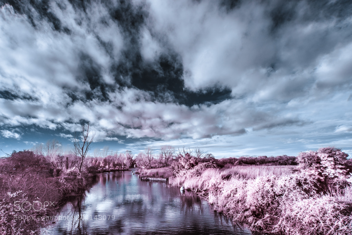 Sony a7 sample photo. Cuckoo bridge photography