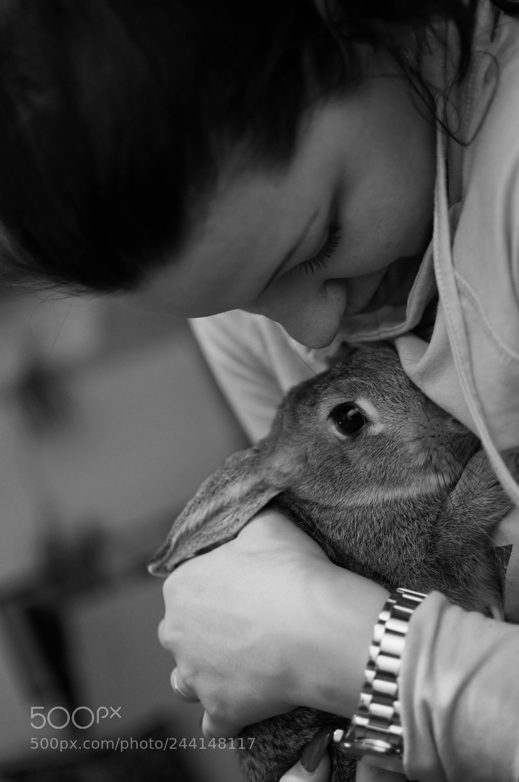 Nikon D5000 sample photo. Rabbit love photography