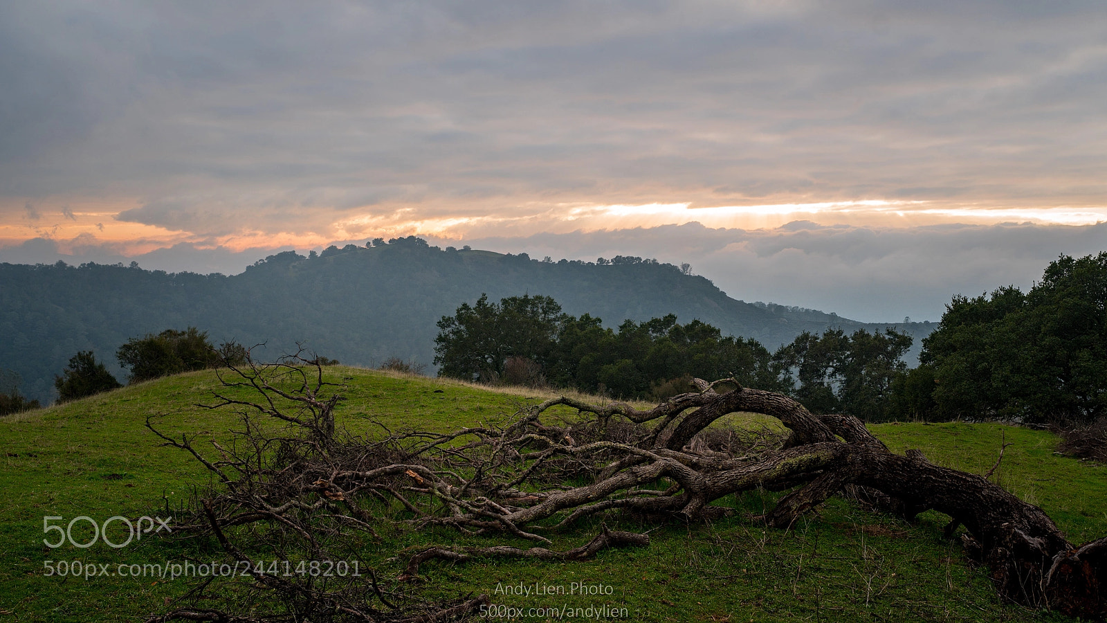 Sony a6500 sample photo. Misty mt. diablo, california photography