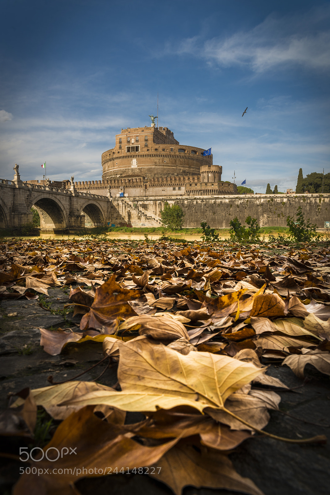 Nikon D800 sample photo. Autumn in rome photography