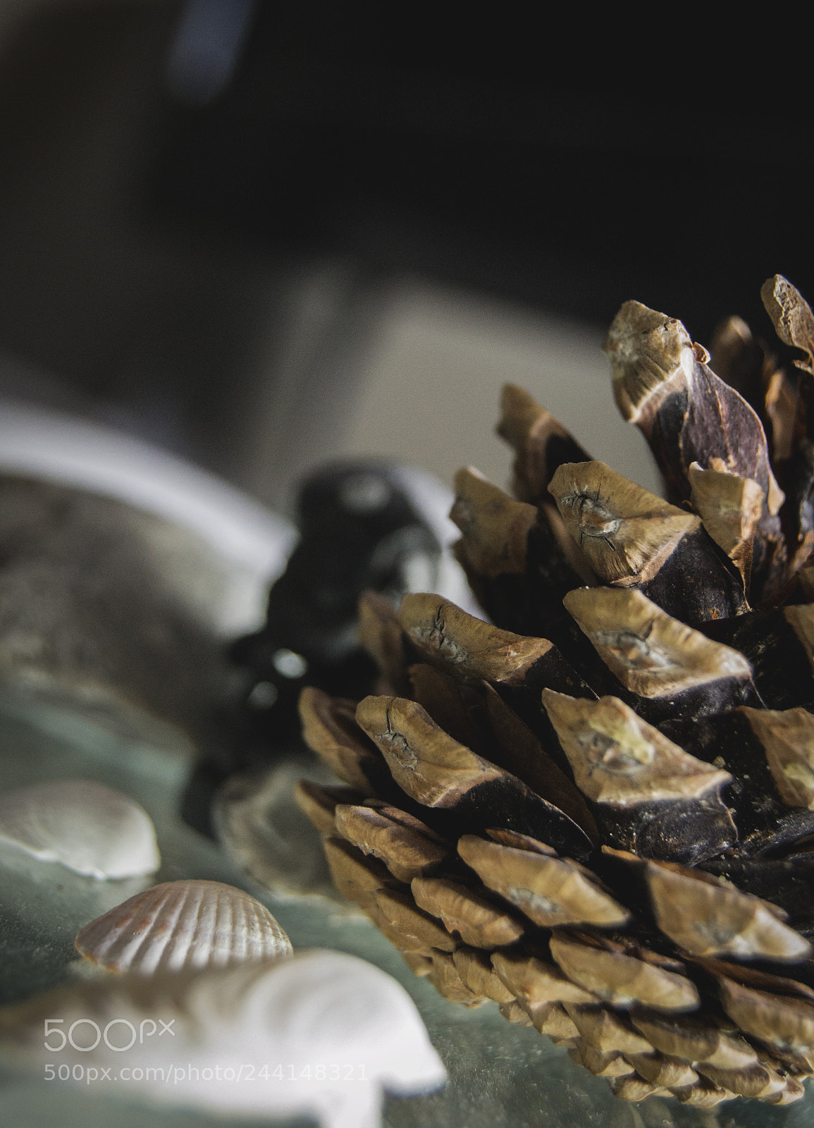 Nikon D3100 sample photo. Home deco photography