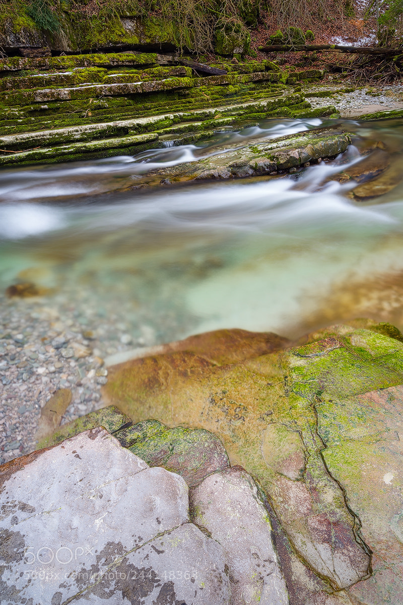 Sony a7 II sample photo. Heute in der taugl photography