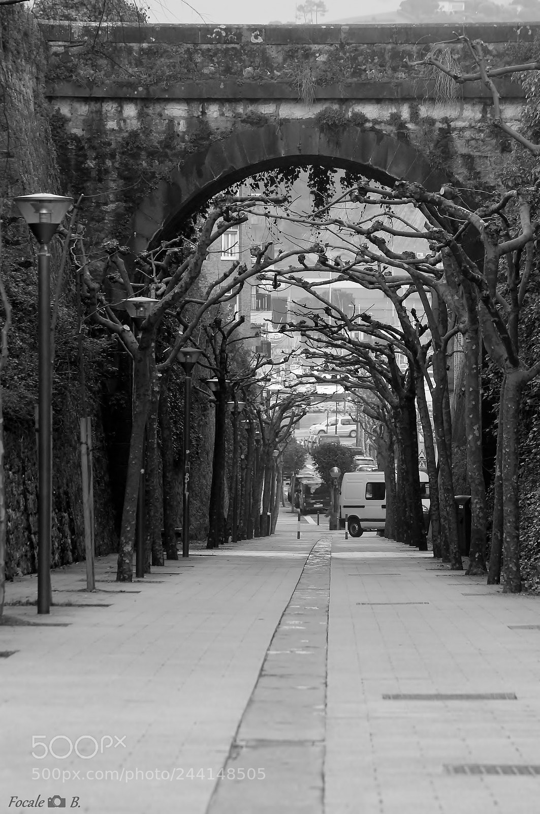 Canon EOS 1100D (EOS Rebel T3 / EOS Kiss X50) sample photo. Itzurun zuhaizbidea photography