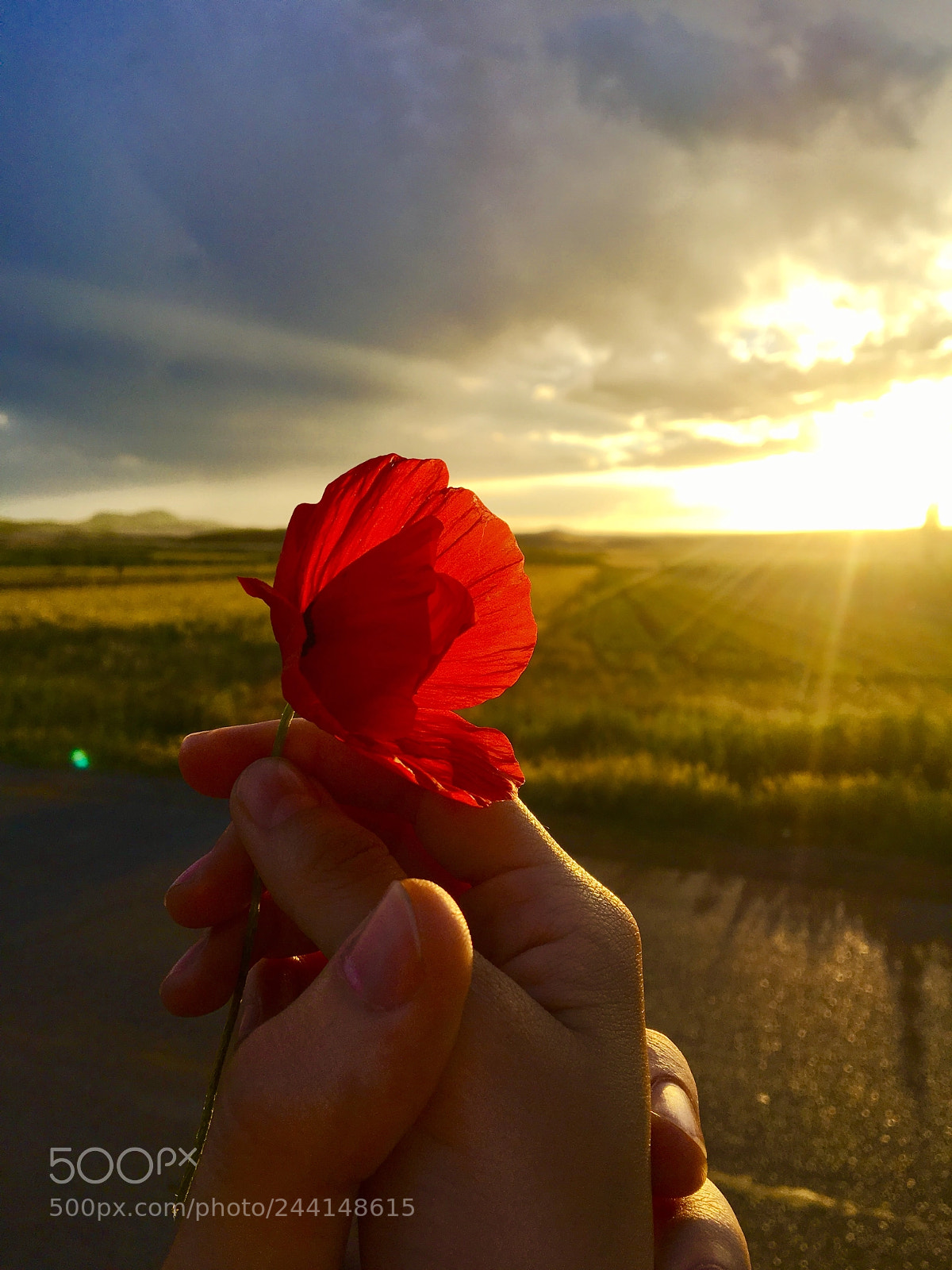 Apple iPhone 6s sample photo. ❤️ photography