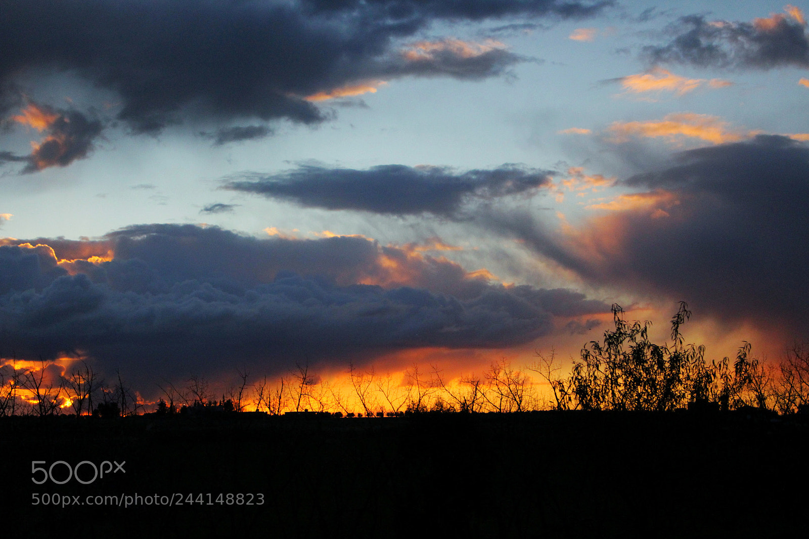 Canon EOS 700D (EOS Rebel T5i / EOS Kiss X7i) sample photo. Sunset over a field photography