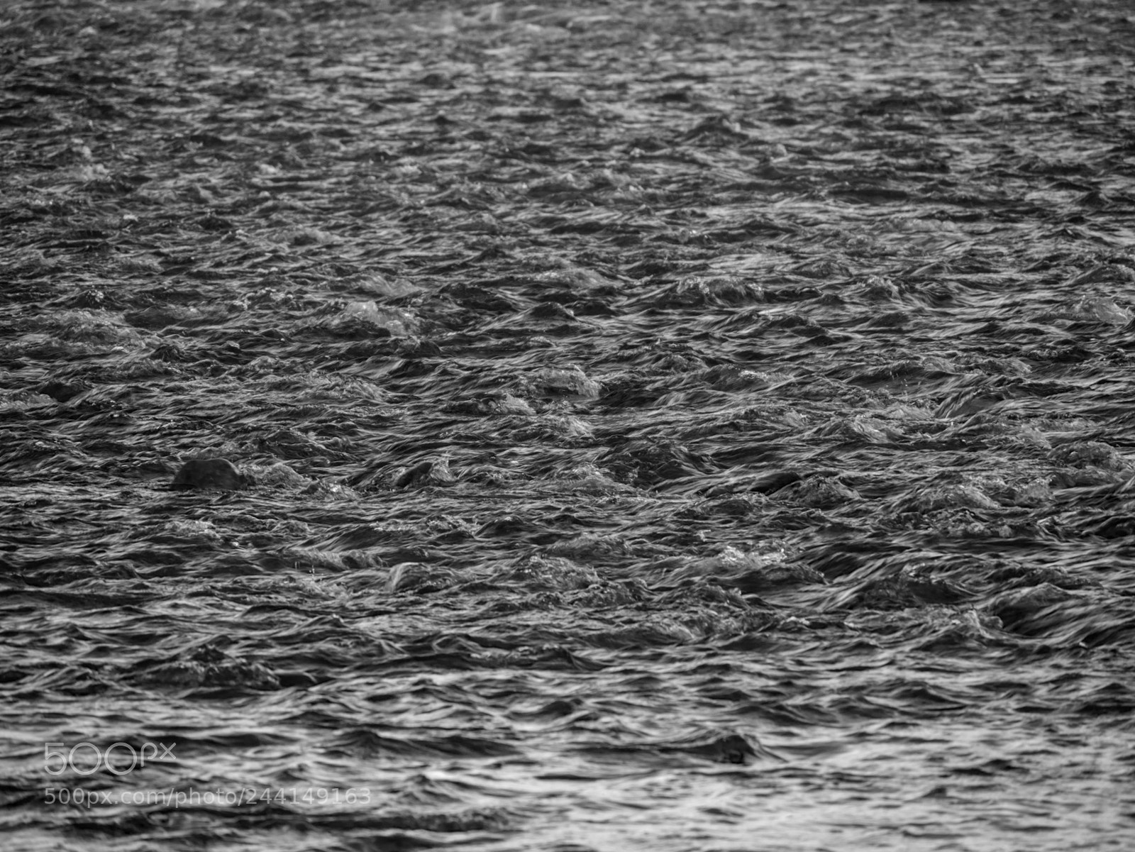 Panasonic Lumix DMC-G7 sample photo. Black and white sunday photography