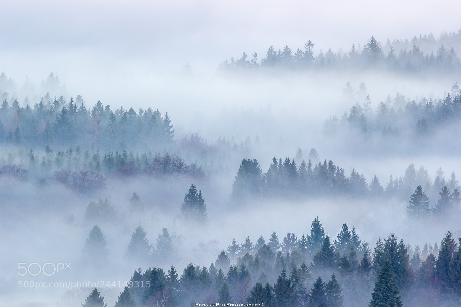 Canon EOS 60D sample photo. Misty fog of taunus photography
