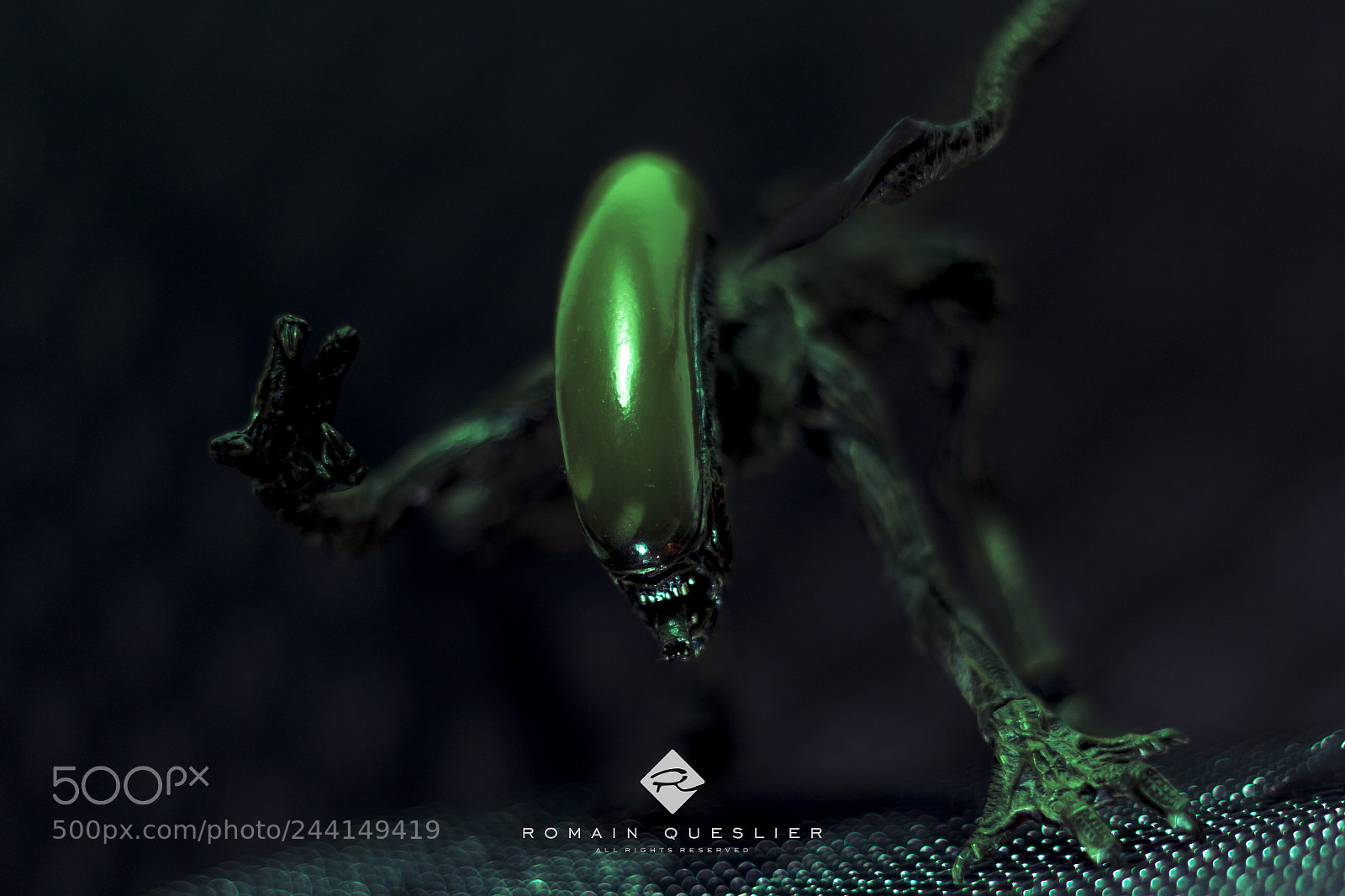 Canon EOS 60D sample photo. Sci-fi 1    -    alien 3 photography