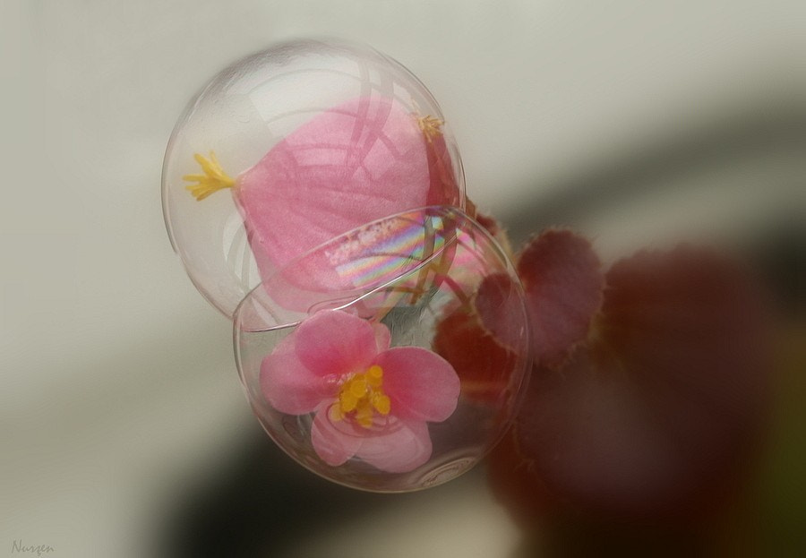 Canon EF 100mm F2.8L Macro IS USM sample photo. Bubbles photography