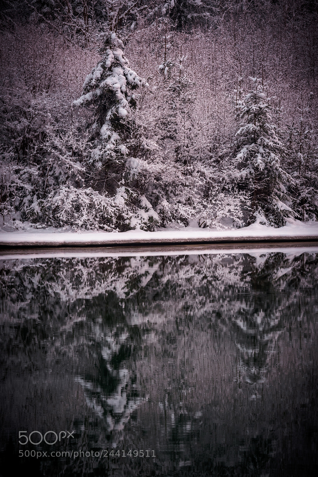 Nikon D7200 sample photo. Snow water and trees photography