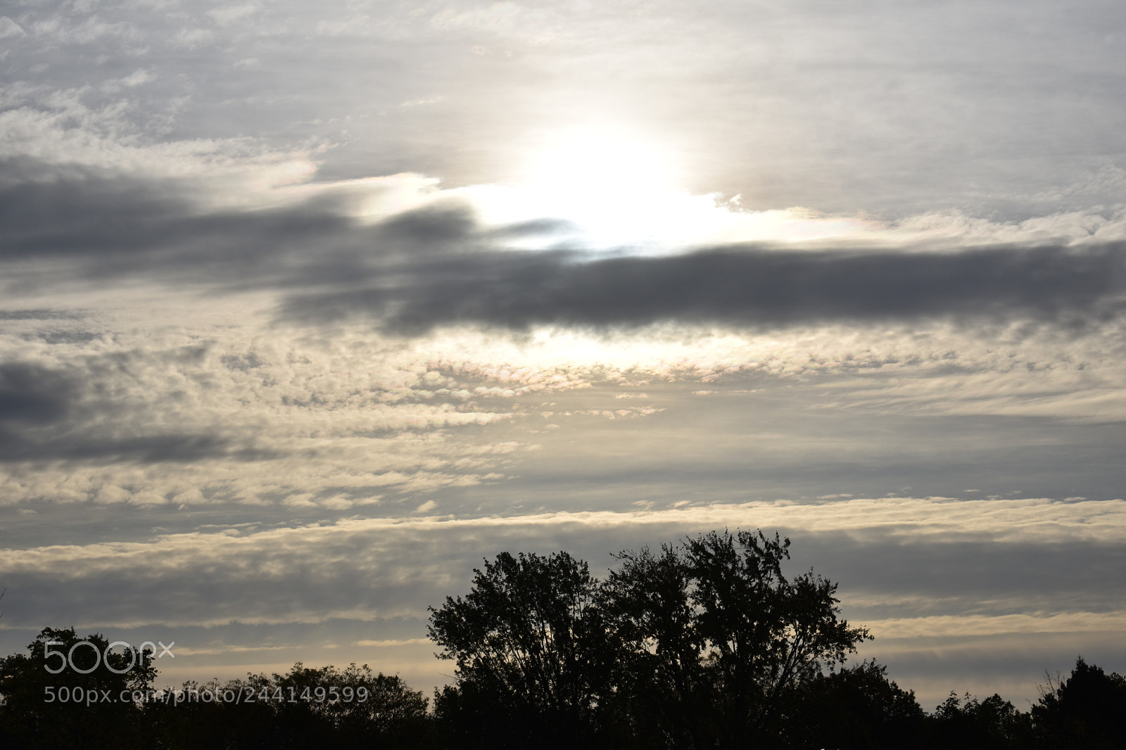 Nikon D3400 sample photo. Dundas valley skies photography