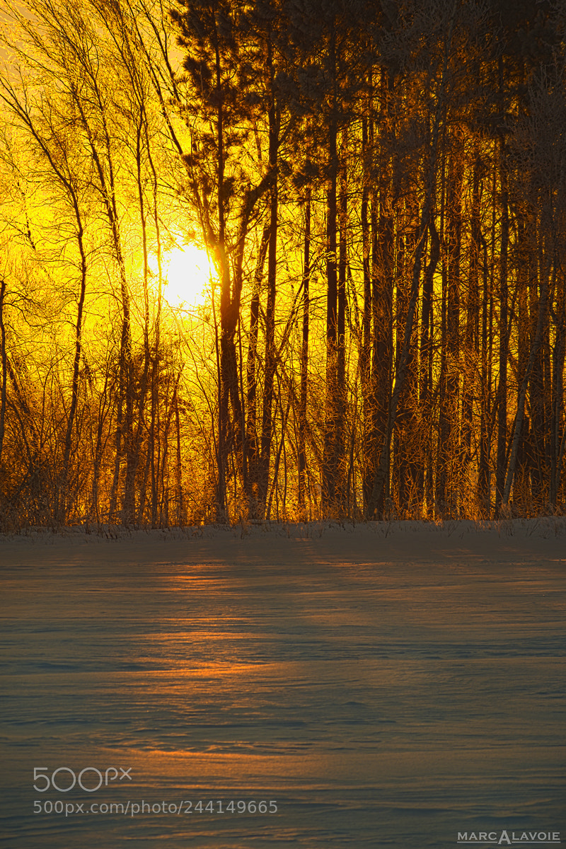 Pentax K-3 sample photo. Winter sunrise photography