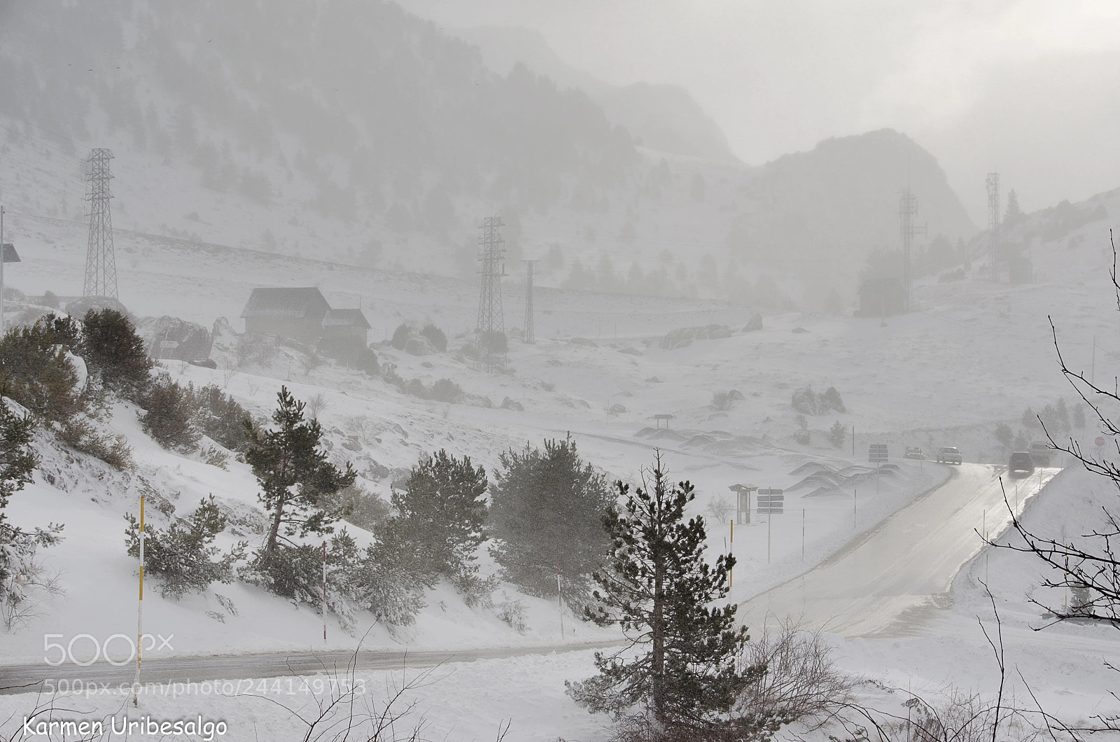 Nikon D5100 sample photo. Winter (de ) photography