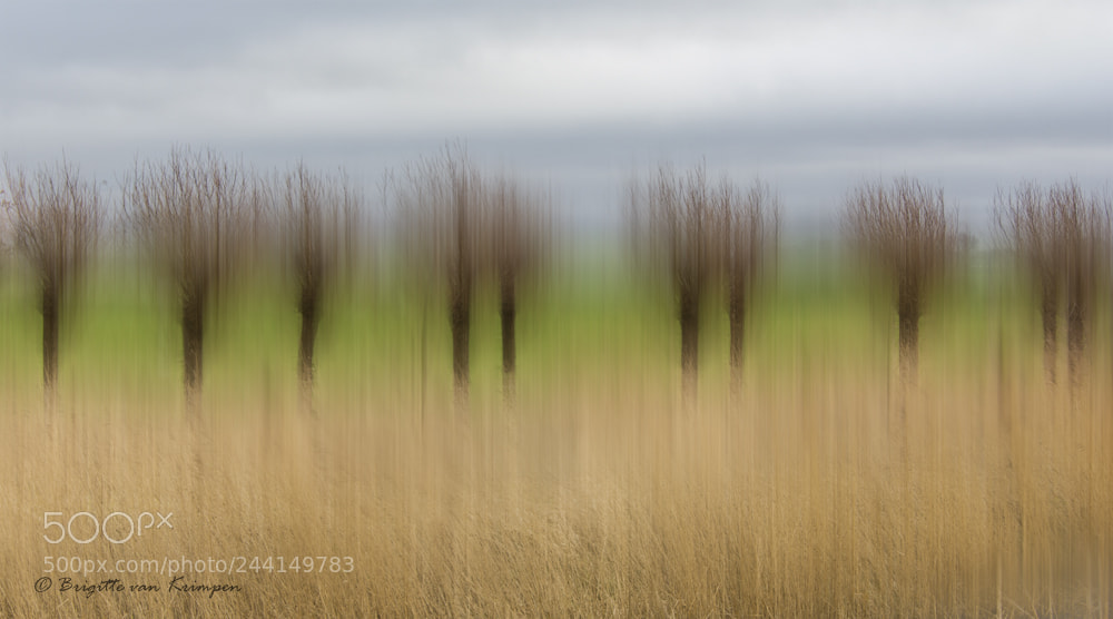 Canon EOS 60D sample photo. Moving polder photography