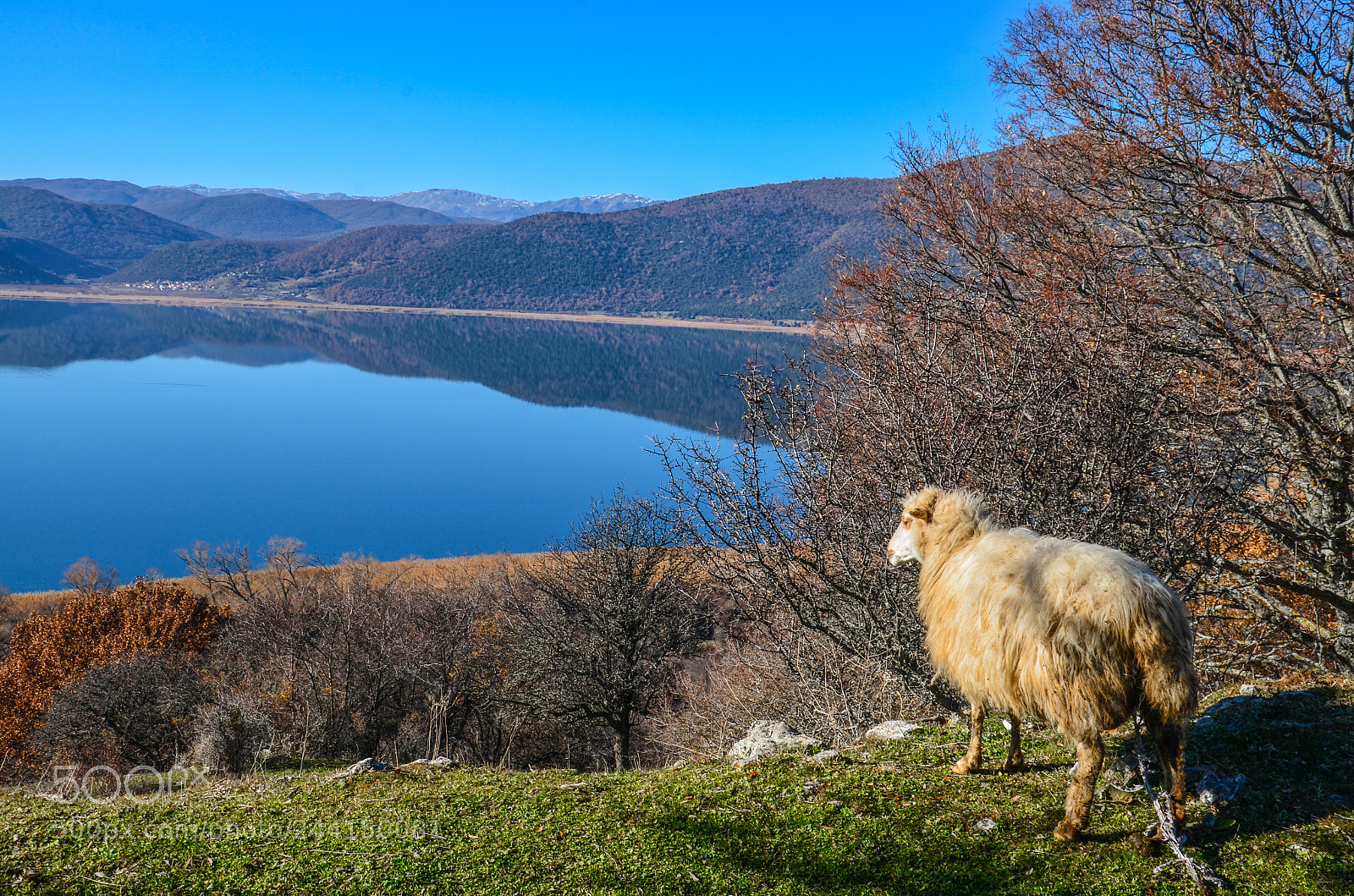 Nikon D5100 sample photo. Enjoying the view photography