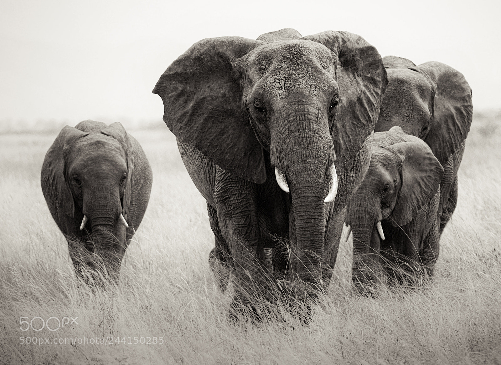 Nikon D200 sample photo. Tanzania photography