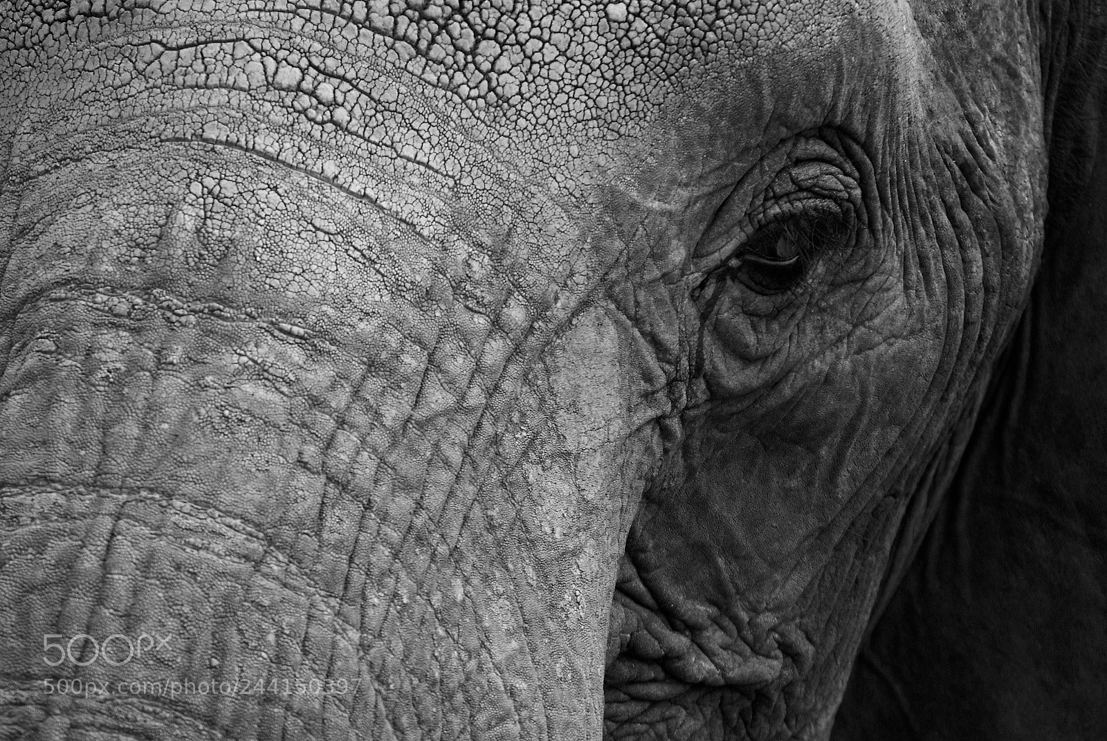 Nikon D200 sample photo. Tanzania photography