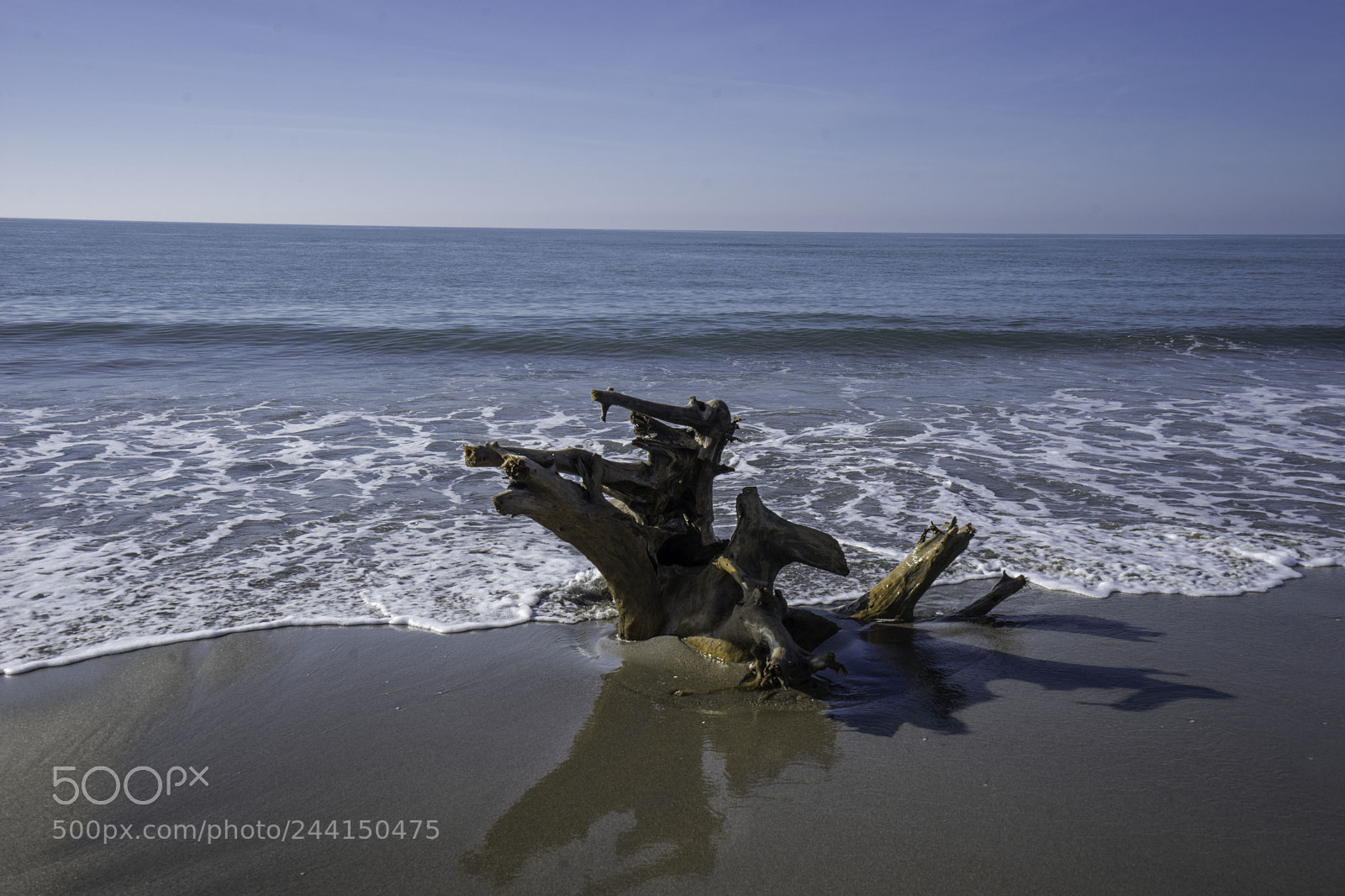Sony a7 II sample photo. Darsena profighi photography