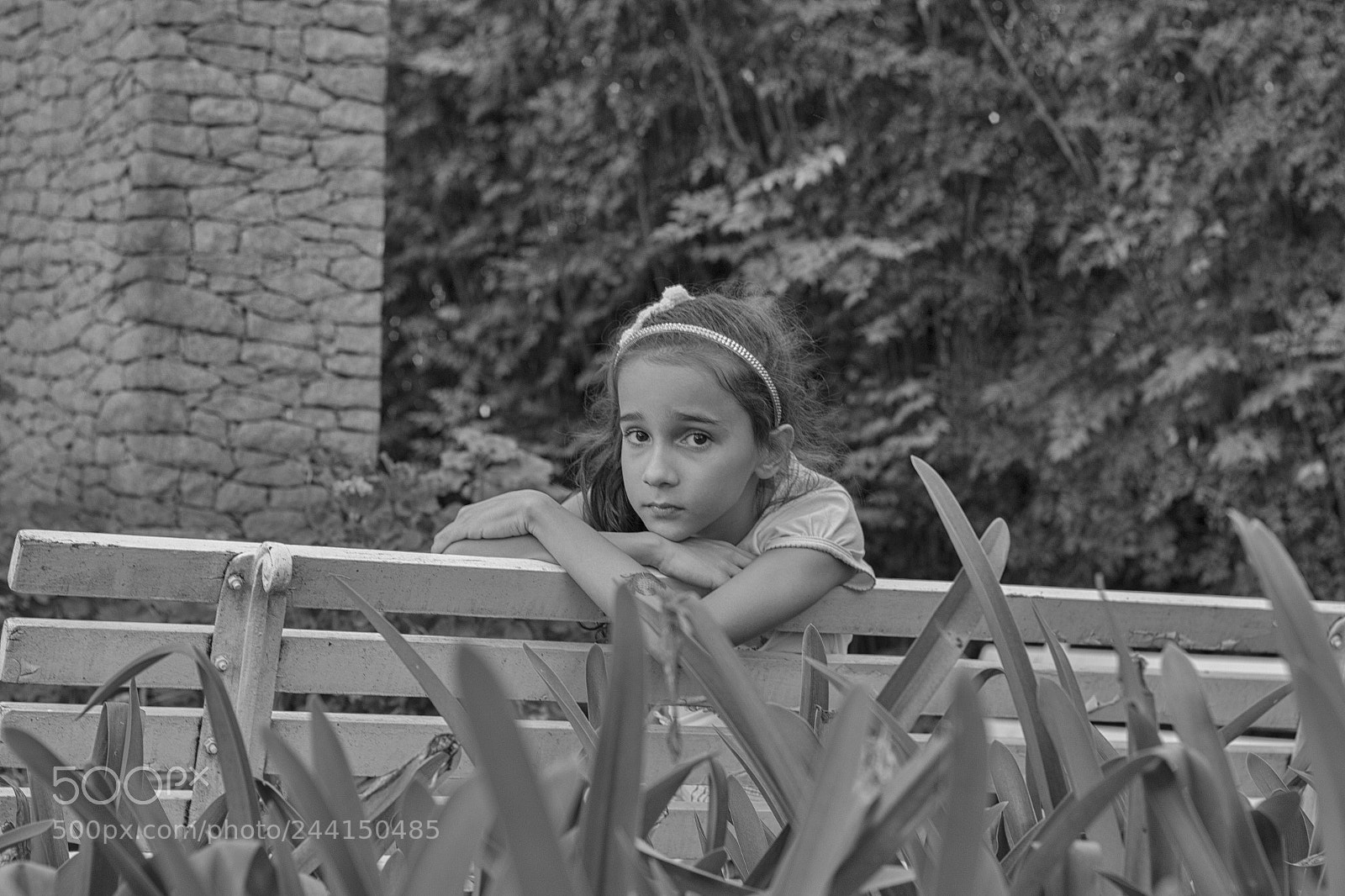 Canon EOS 60D sample photo. One day we'll reveal photography