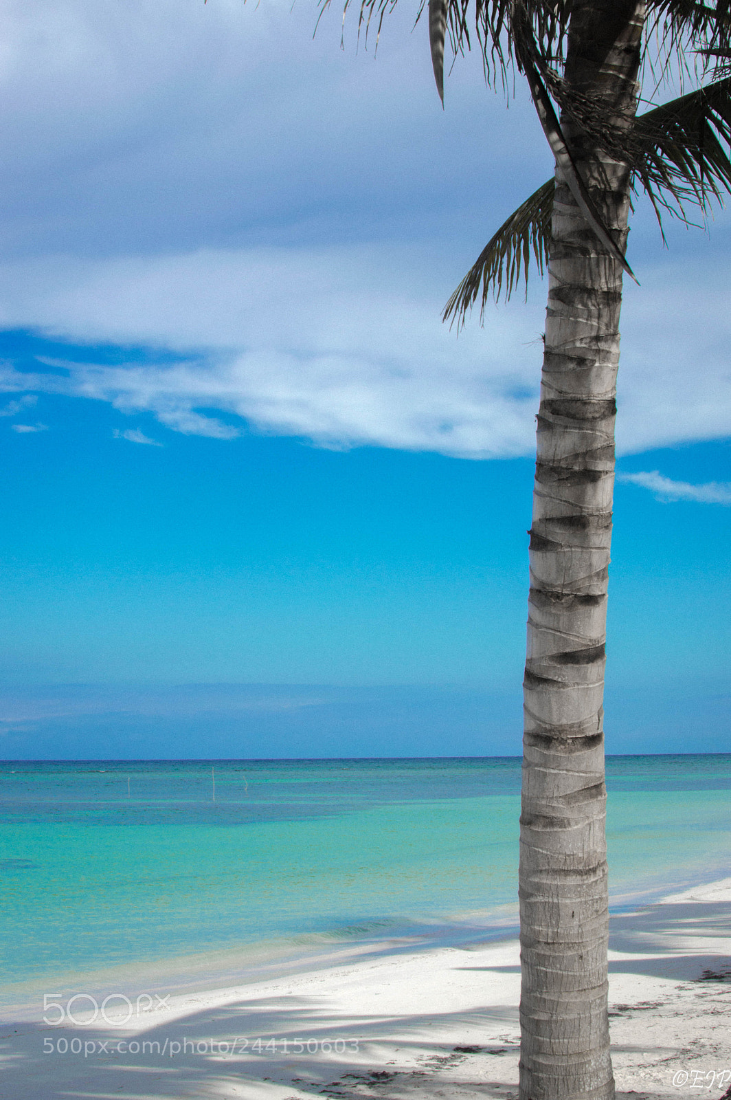 Nikon D3200 sample photo. Paradise vi photography