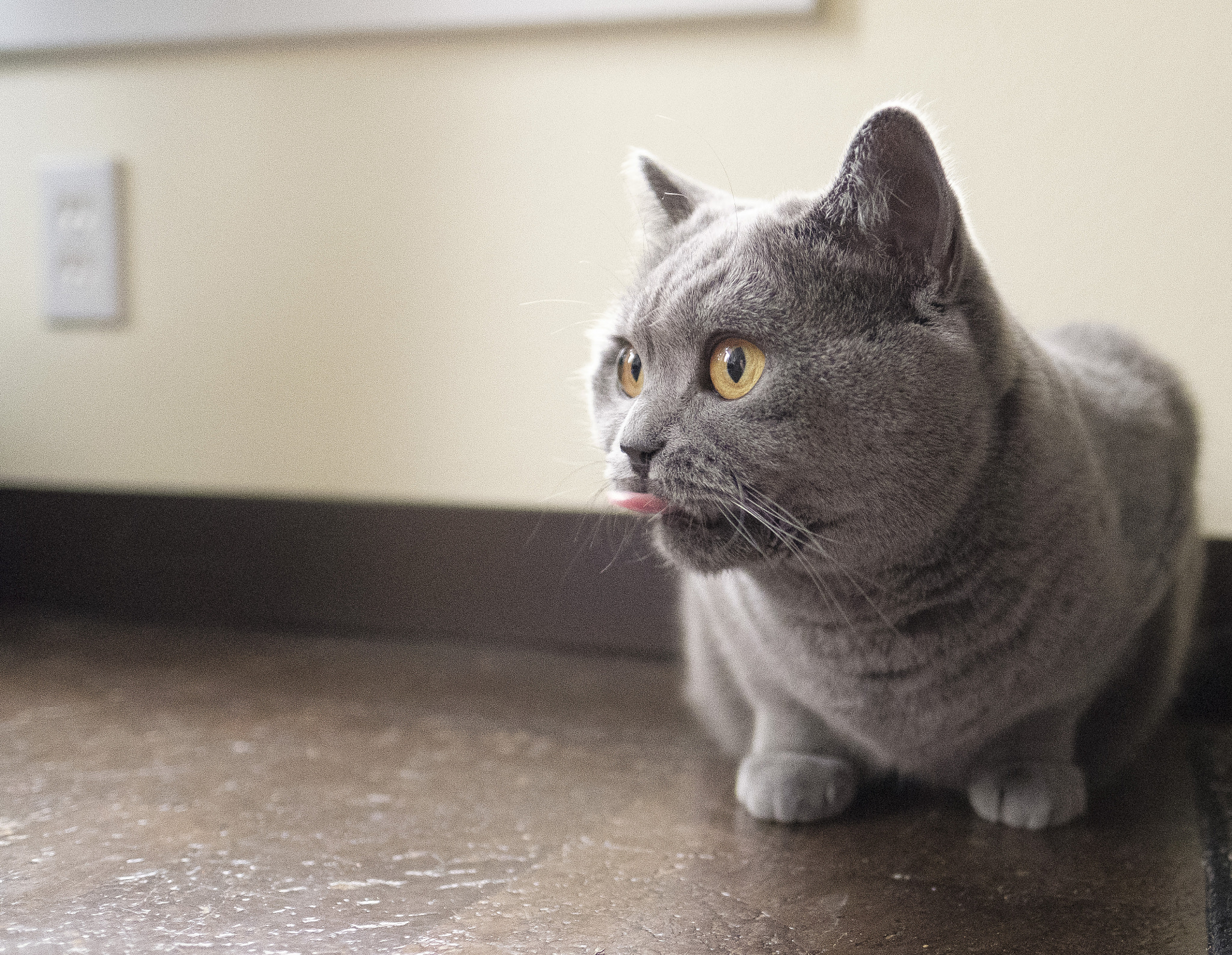 v2?sig=0c47218a05e34557db9ff2b857574c736b0e3778ce40ed715161a03be2bcedca