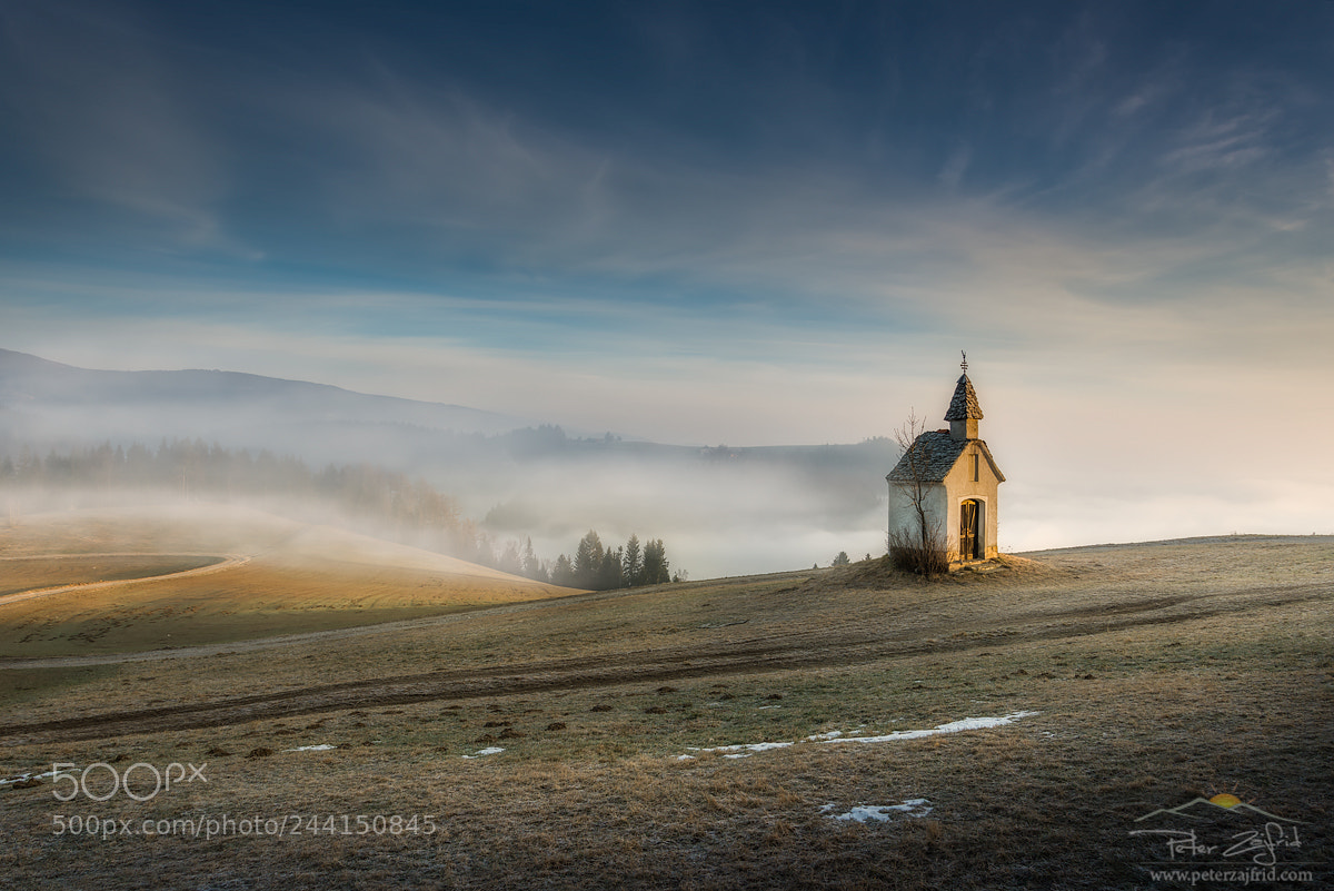 Nikon D810 sample photo. Morning on the hill photography