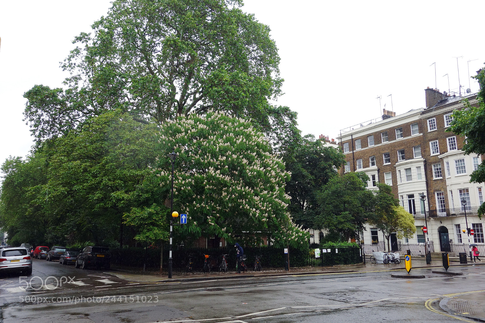 Sony Cyber-shot DSC-RX100 sample photo. Montagu square, london photography