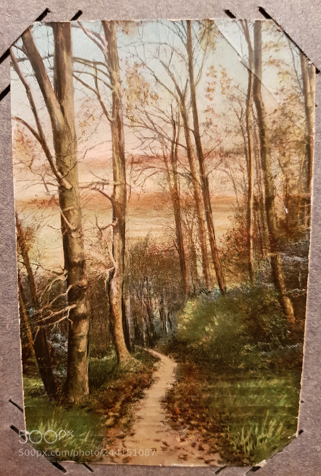 Samsung Galaxy S8 sample photo. An old greeting card.1912 photography